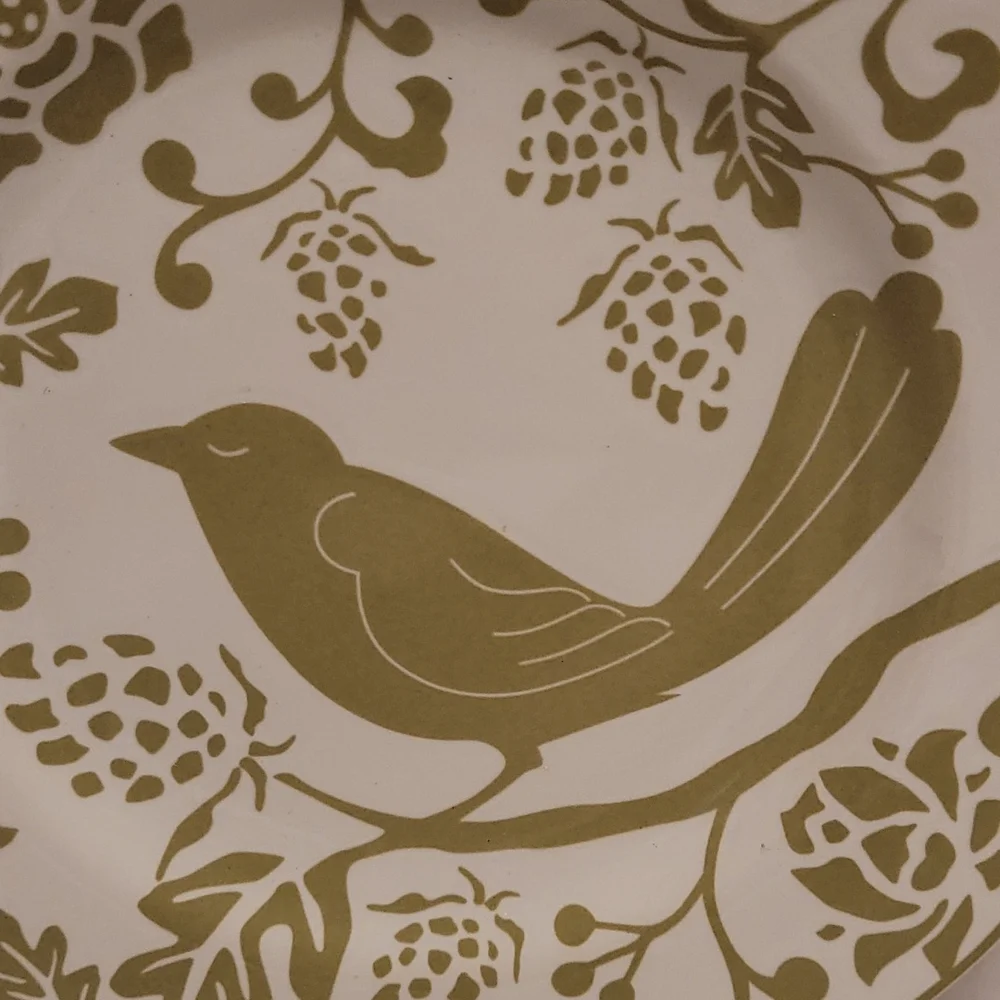 Beautiful Pier 1 Plate